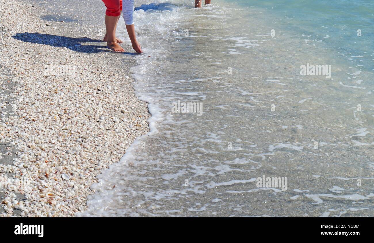 Reintento de recoger conchas en la playa junto al mar en Sanibel Island, Florida Foto de stock