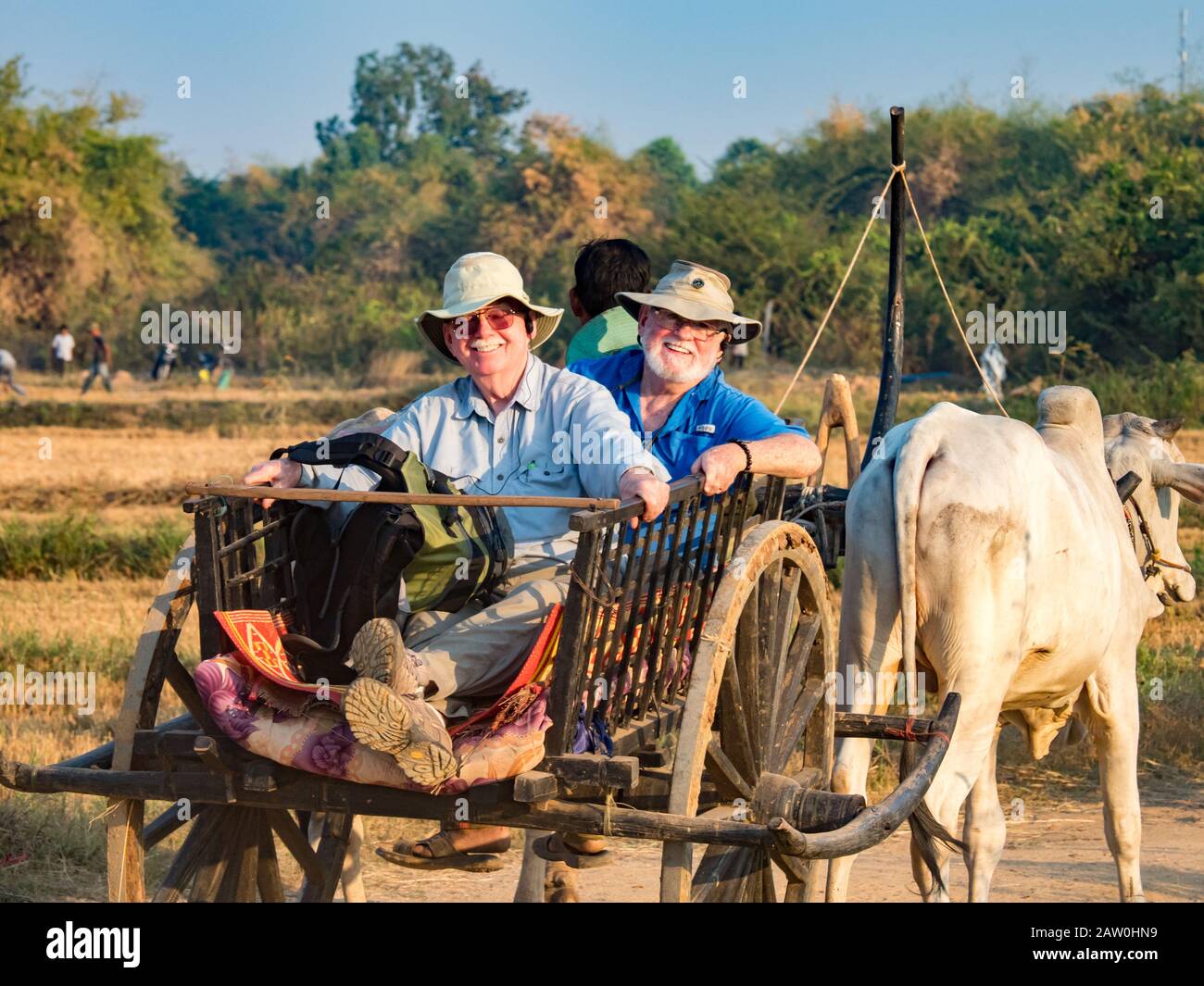 Los turistas viajan en carretas tradicionales a través de los arrozales de Camboya a lo largo del río Mekong Foto de stock