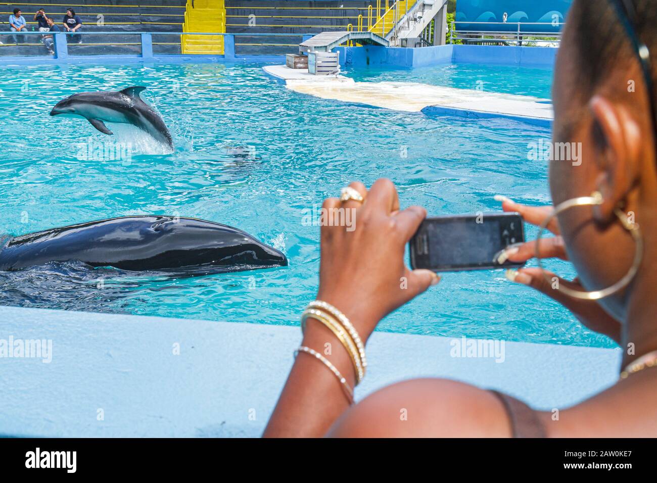 Miami Florida, Key Biscayne, Miami Seaquarium, Lolita orcas orcas rendimiento, mujer negra cámara mujer delfín tomar fotos piscina Foto de stock