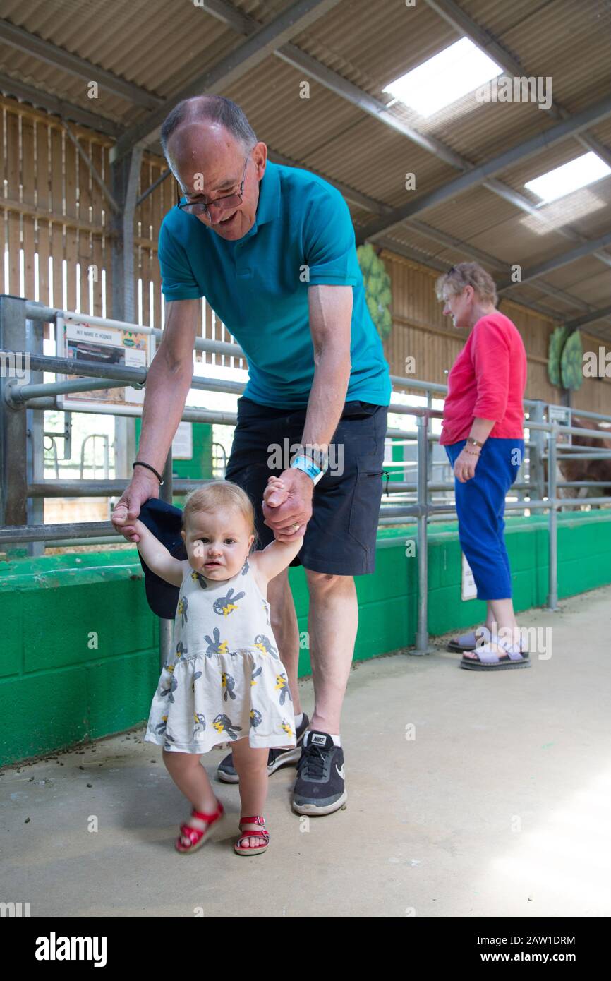 Abuelos en una granja con sus nietos, Reino Unido Foto de stock