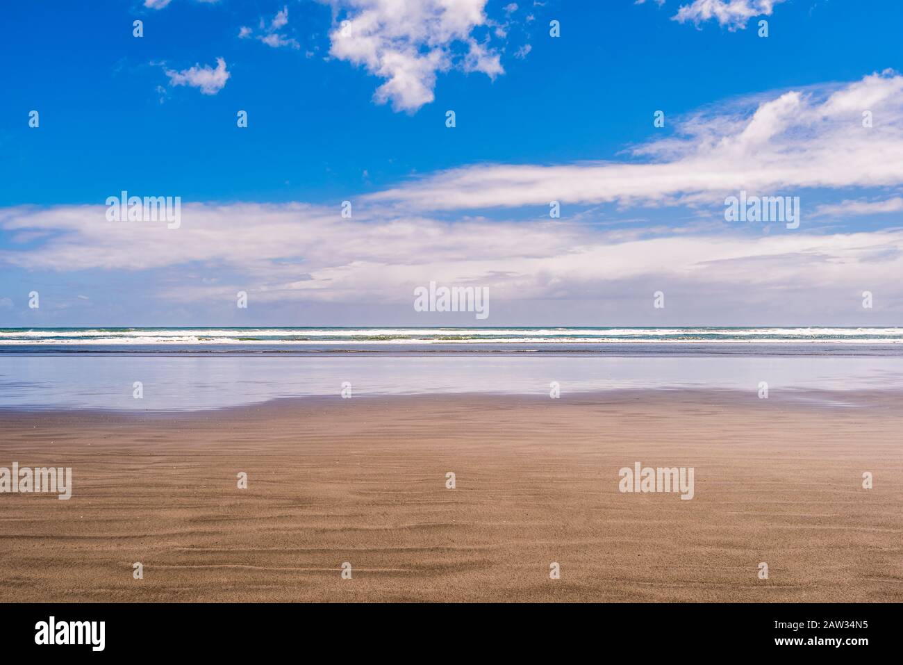 Mirando al mar en Carters Beach, Westport, Costa Oeste, Nueva Zelanda Foto de stock