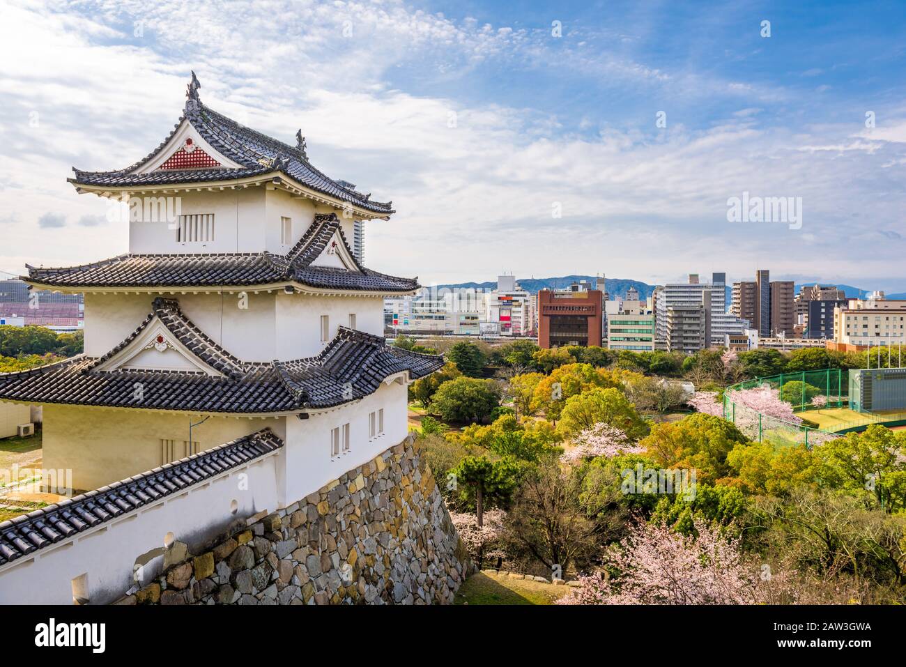 Akashi, Hyogo, la torre del castillo de Japón y el centro de la ciudad con cerezos en flor en primavera. Foto de stock