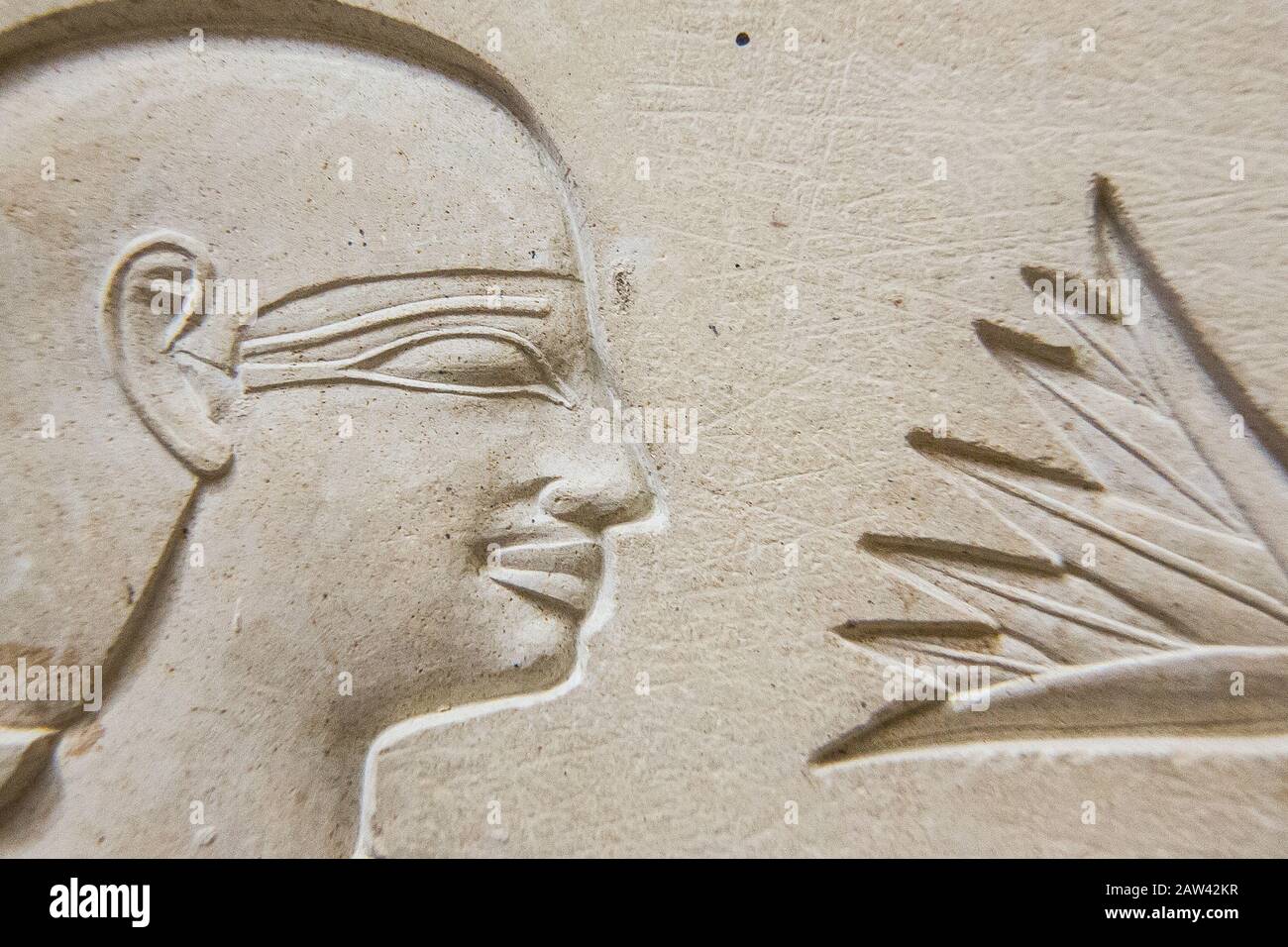 Egipto, el Cairo, Museo Egipcio, sarcófago de la reina Ashait, con