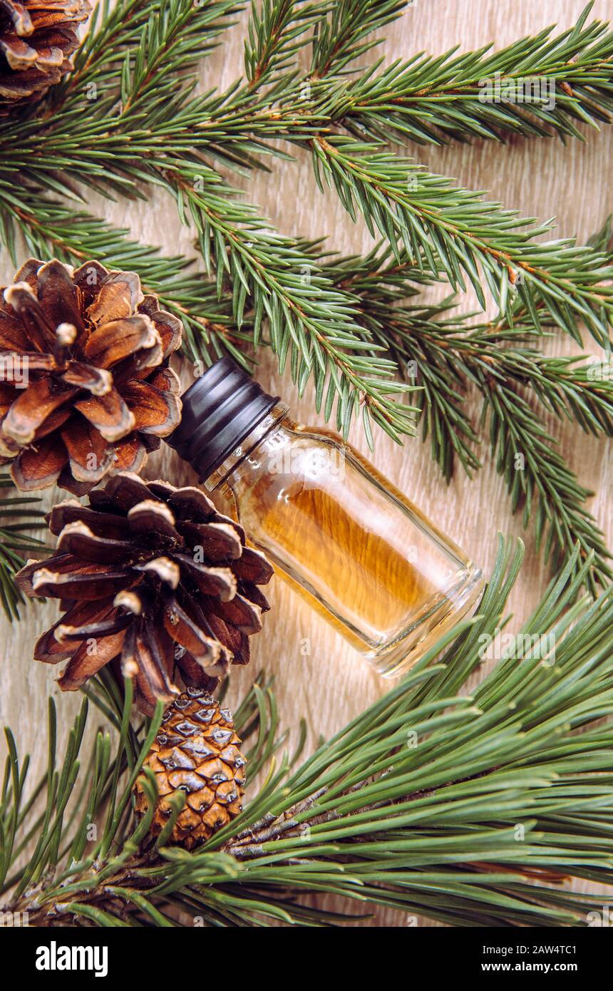 Botella de aceite de aroma de pino y abeto con ramas de pino y abeto para decorar sobre fondo de madera. Concepto de aceite esencial. Foto de stock