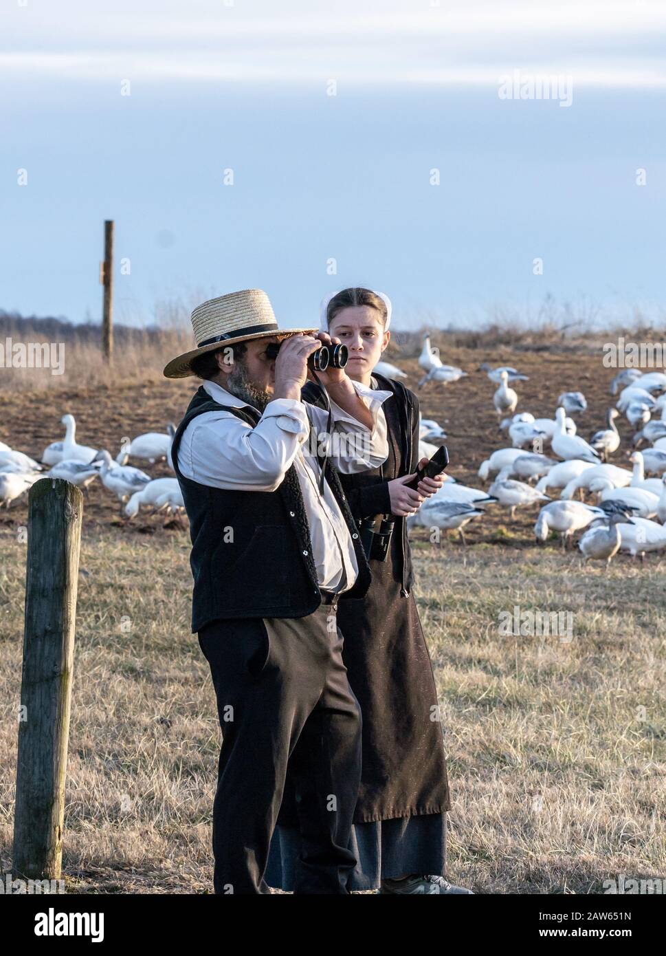 Condado de Lancaster, Pensilvania, EE.UU.: 3 de febrero de 2020: Pareja Amish mirando gansos de nieve en la reserva natural. Foto de stock