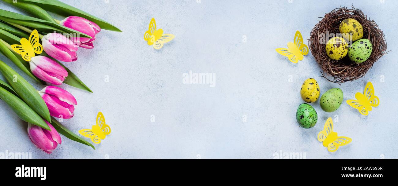 Banner De Pascua De Fondo. Huevos de Pascua en Nest y tulipanes rosas en la mesa de piedra azul de fondo. Concepto De Vacaciones De Primavera. Vista superior, espacio de copia, plano Foto de stock