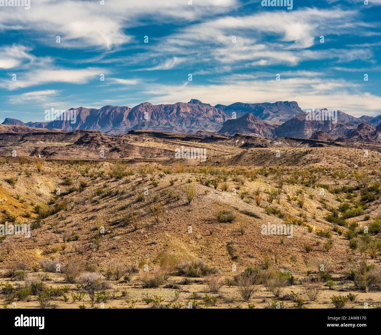 Las Montañas Chisos sobre el desierto de Chihuahua, vista cerca de Castolon, el Parque Nacional Big Bend, Texas, Estados Unidos Foto de stock