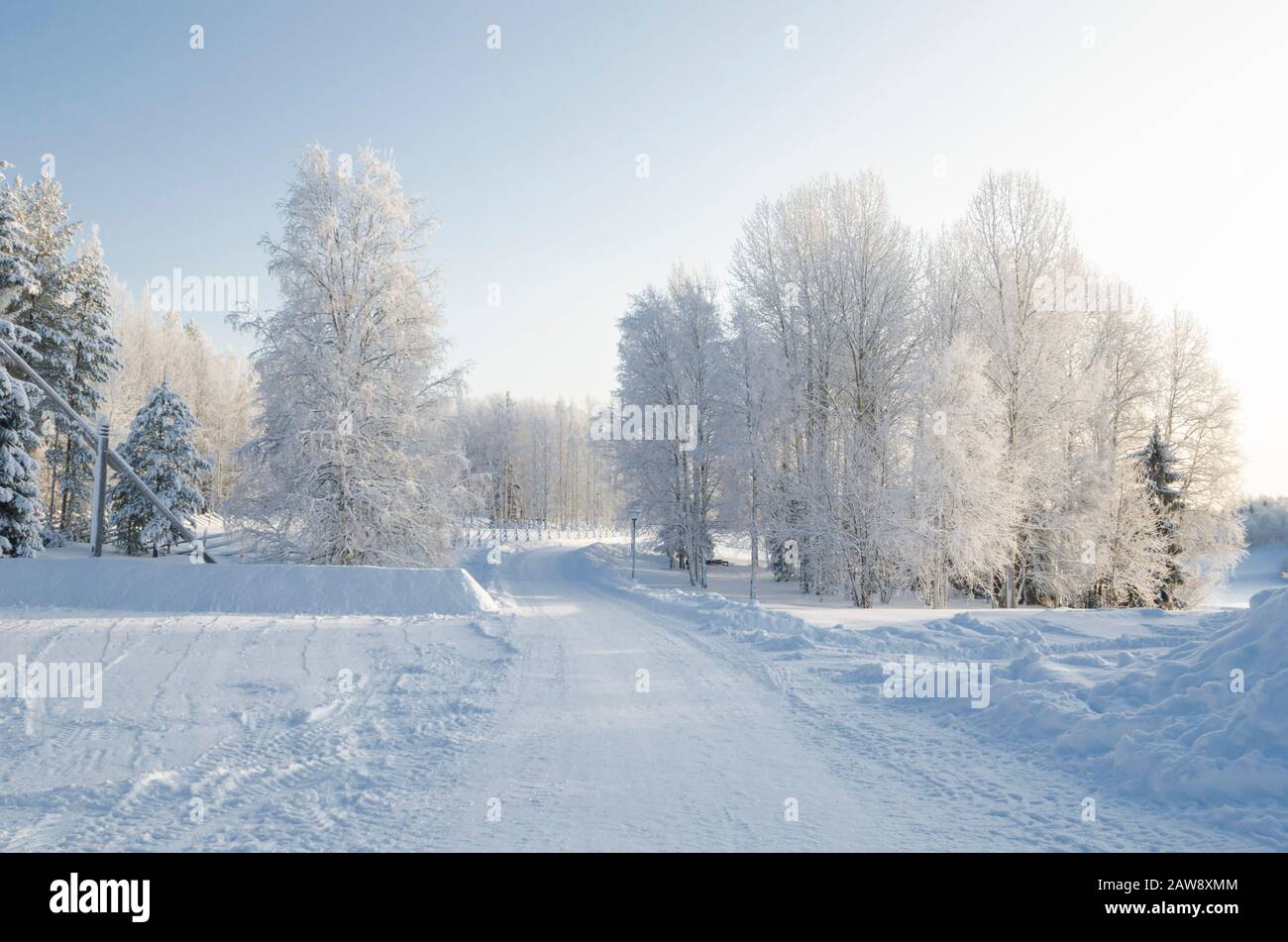 Carretera nevada a través del bosque de invierno. Hermosos árboles en el hoarfrost blanco Foto de stock