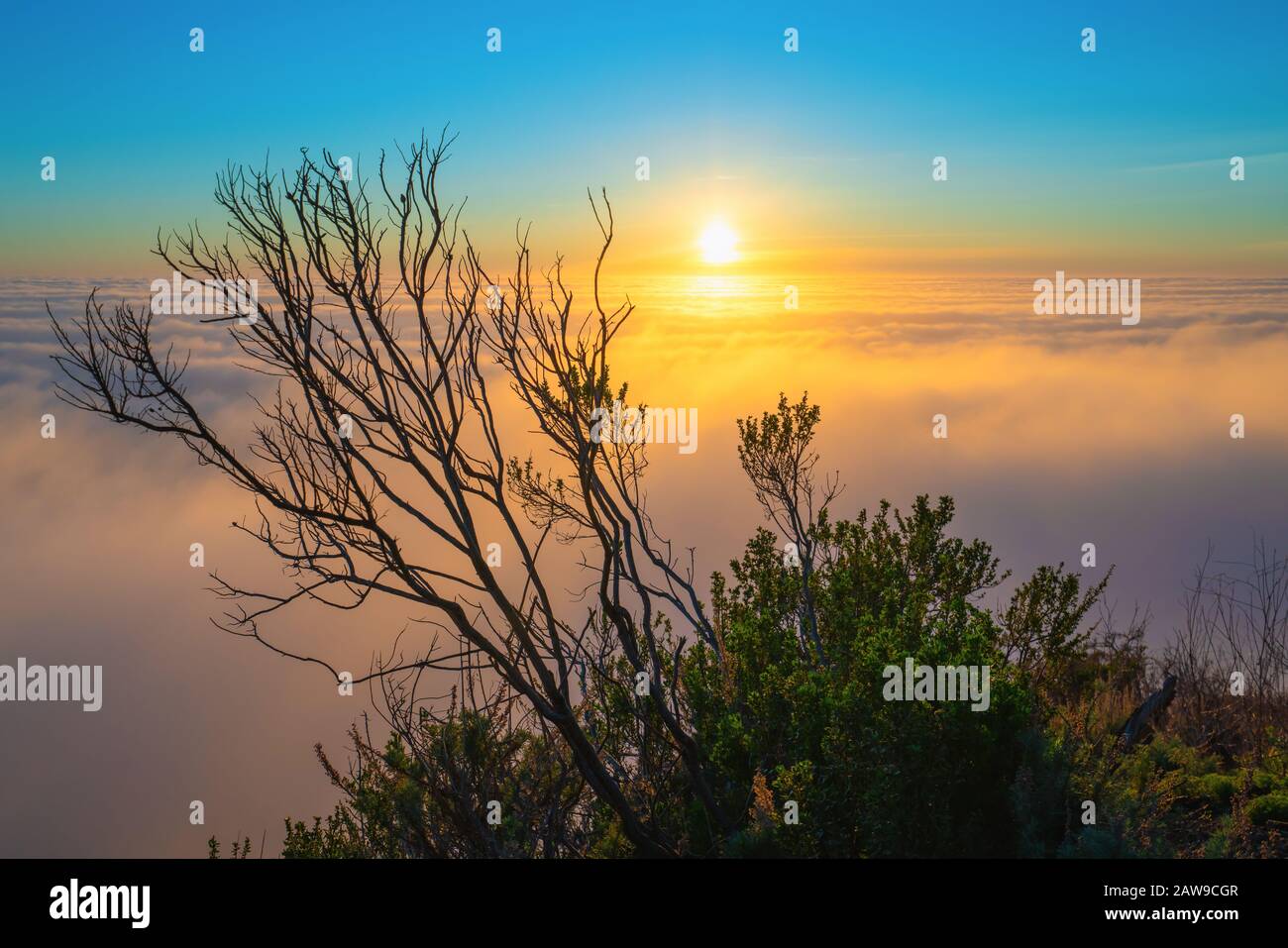 Capa marina sobre el Océano Pacífico al atardecer. Vista Aérea, Costa De California Foto de stock