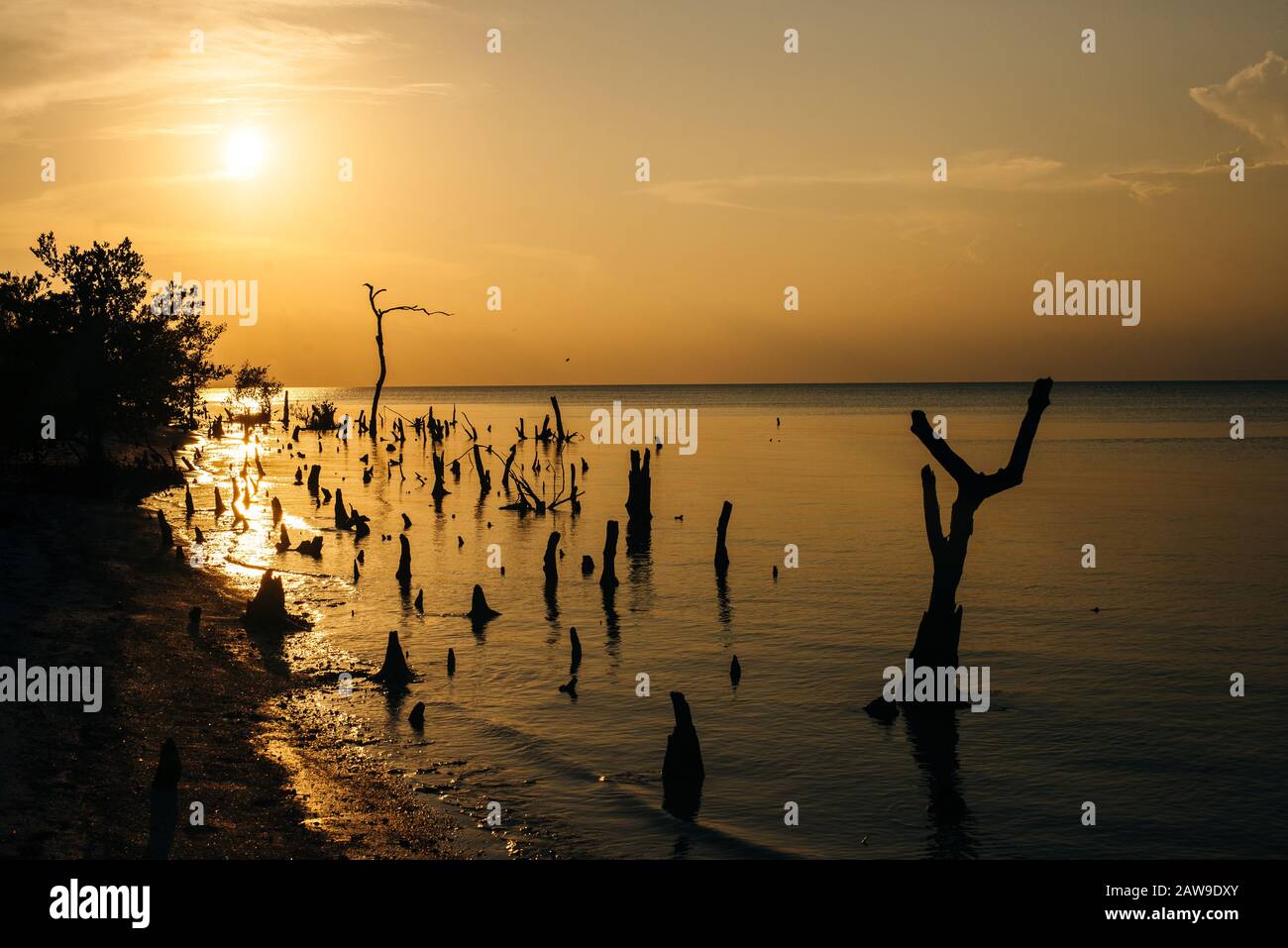 Isla Holbox puesta de sol playa palmeras tropicales en México Foto de stock