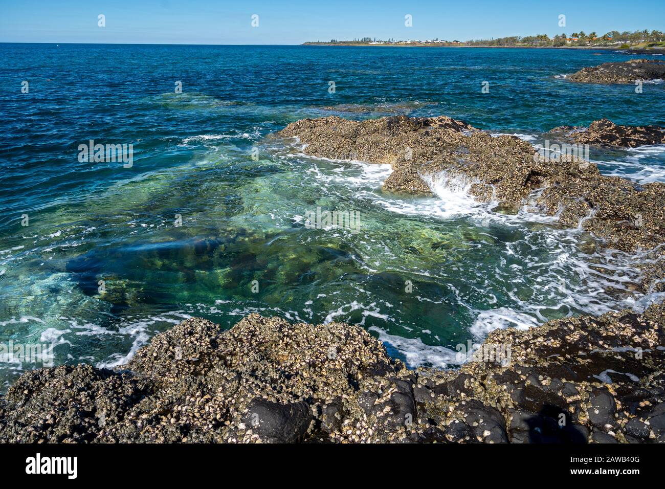Las ostras cubren la roca en marea baja. Barolin Rock, Woongara Marine Park, Burnett Coast, Queensland, Australia Foto de stock