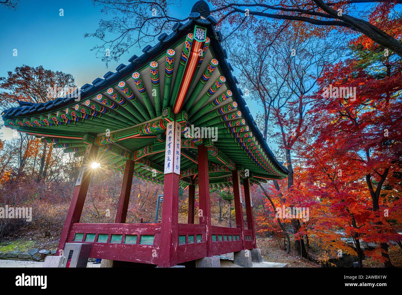 El Palacio Changdeokgung en Seúl, Corea del Sur, con su jardín secreto, es espectacular en otoño. Foto de stock