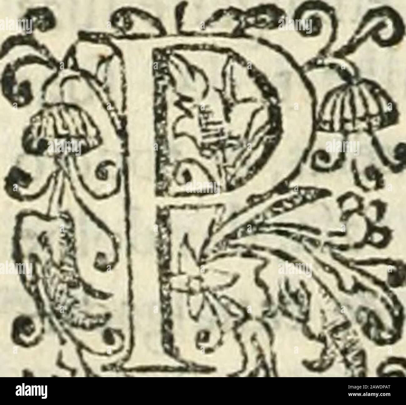 Decada quarta da Asia : dos feitos que os portugués fizieram na conquista e descobrimento das terras, & mares do Oriente : em quanto gouernaraõ a India Lopo Vaz de Saõ Payo, & parte de Nuno da Cunha . entajandofe niíto aagrande Alexandre, no que vloucom a rnohcr de Dário. EFTA fc-nhor?. Foi romando o caminho doreino de Cabul,a onde reinaua hí.irmaó do marido chamado Aycã.mirza quearecebeomuito hon-radamente. OXircan vcndofe taomi mofo da foraina, em poucostempos conquiftou os reinos doMagor todos, com o que ficou ta-manho Penhor, que fe affirma te-rem feus eftados mais de mil &quinhentas le Foto de stock