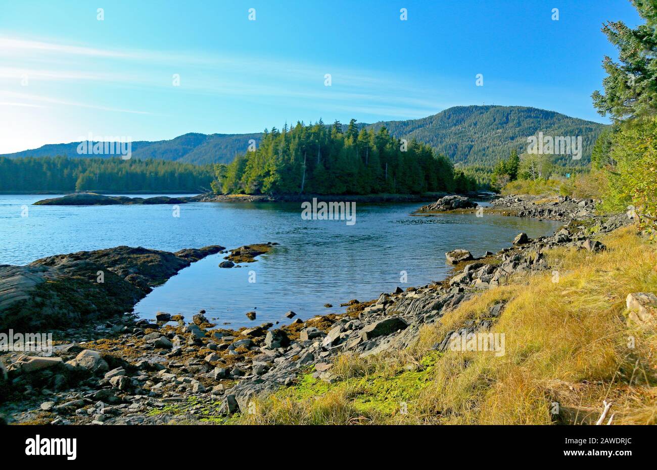 Paisaje a lo largo del río Skeena entre la terraza y el príncipe Rupert BC Foto de stock