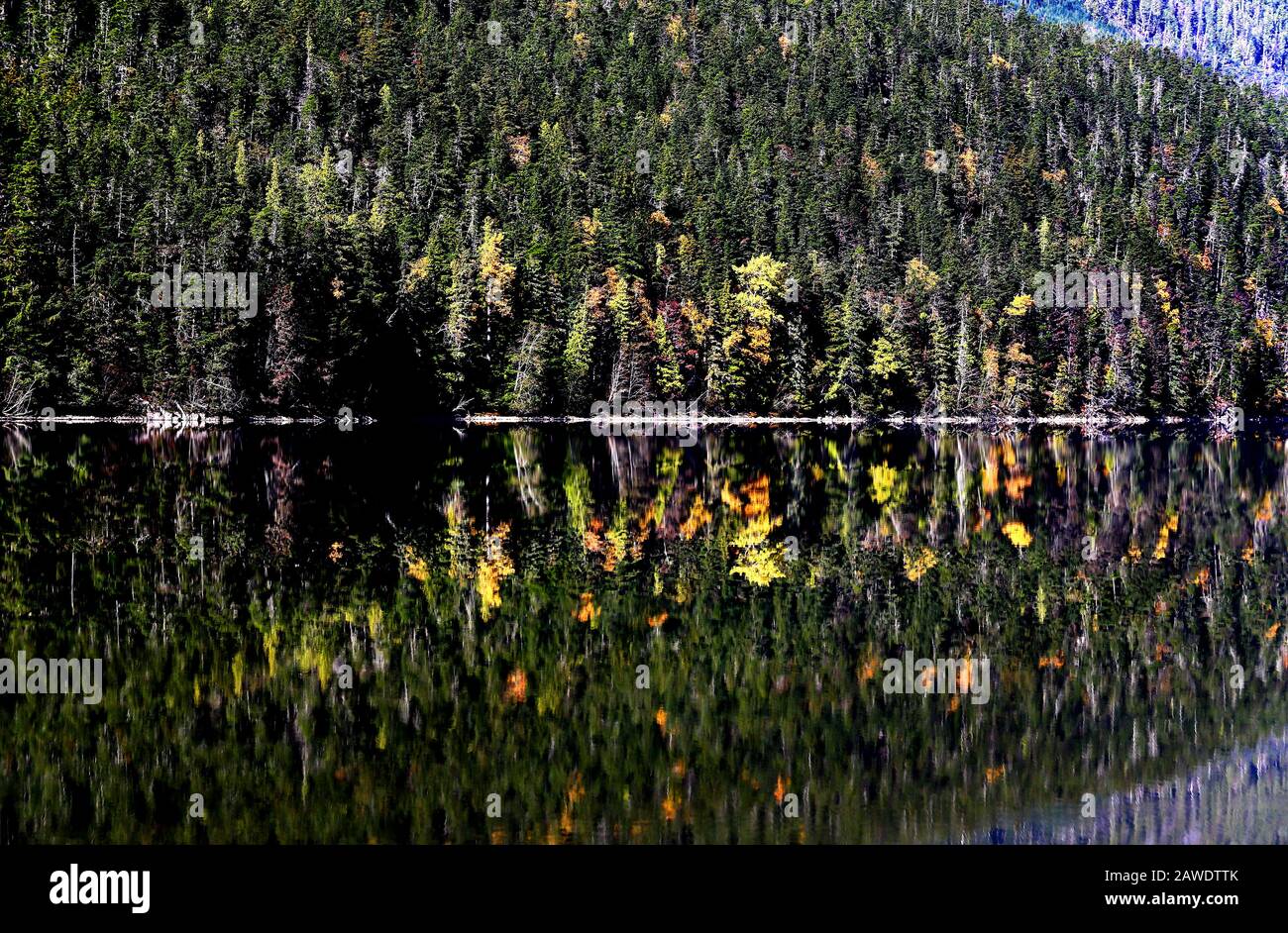 Lago que refleja un bosque otoñal a lo largo del valle del río Nass entre Terrace y Gitlaxt'aamiks Foto de stock
