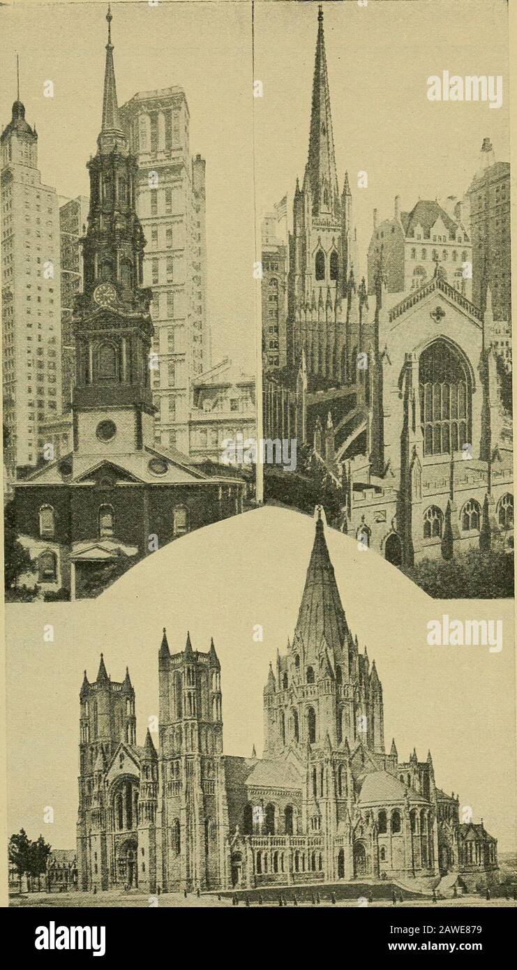tiempo de mañana en new york