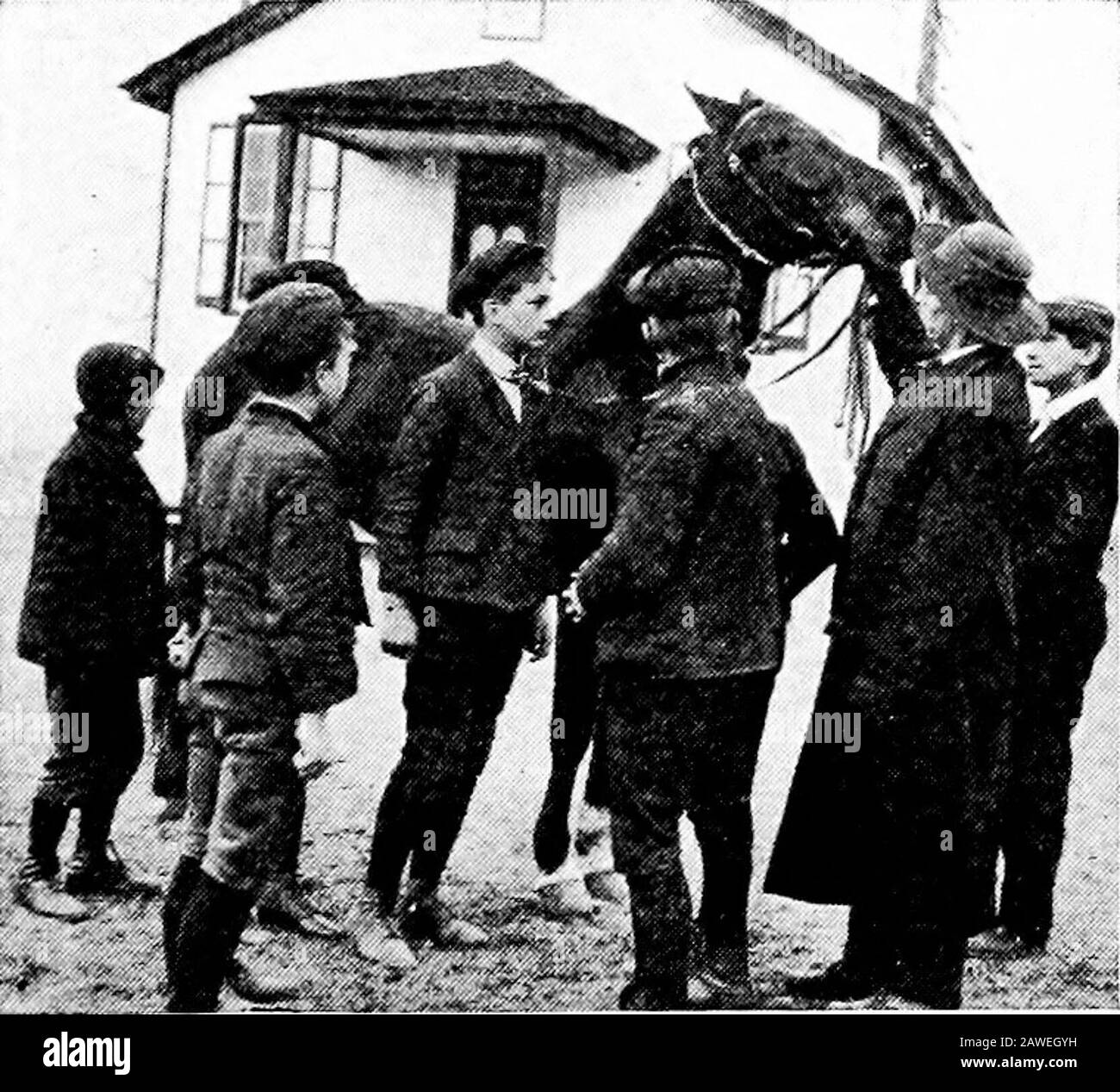 Bog a pie fotografías e imágenes de alta resolución Alamy