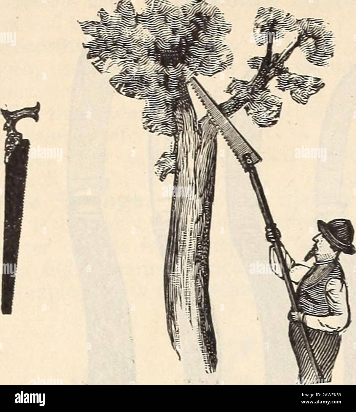 R& JFarquhar y Co'scatalog, 1897 : plantas de semillas probadas confiables, bulbos herramientas de fertilizantes, etc. . Cizallas De Pruning Perfectas. Por muchos jardineseste estilo de poda es muy estimado. Irice, 7 pulgadas, 1.75 ; 8 pulgadas, 2.25 ; 9 pulgadas, 2.75 ; lo-pulgadas, 3.25. Cizallas De Ramal O De Popa. Para cortar ramas laige; mangos largos, estilout; muy fuertes, y de la mejor calidad.patrón americano. Tres tamaños, 1.25, 1.75, 2.25, cada patrón inglés de Saynors. Tres tamaños, 3 50, 4.00, 4.50 cada uno. Sierras de podar. Cuchillas largas y estrechas para podar. Varios tamaños. .So a 1.25.Sierra de podar con Chisel. Dos patrones, 1.5 y 1 Foto de stock