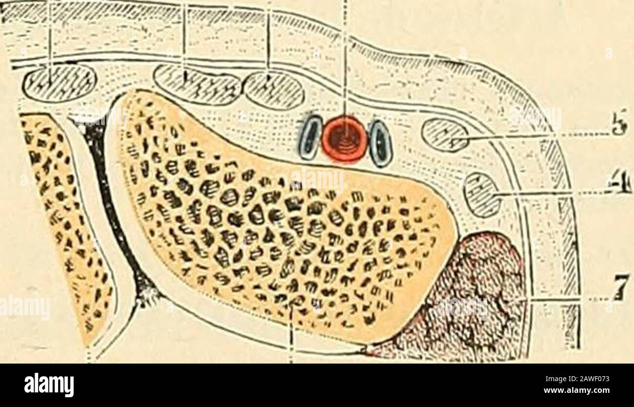 La tabatiere fotografías e imágenes de alta resolución Alamy
