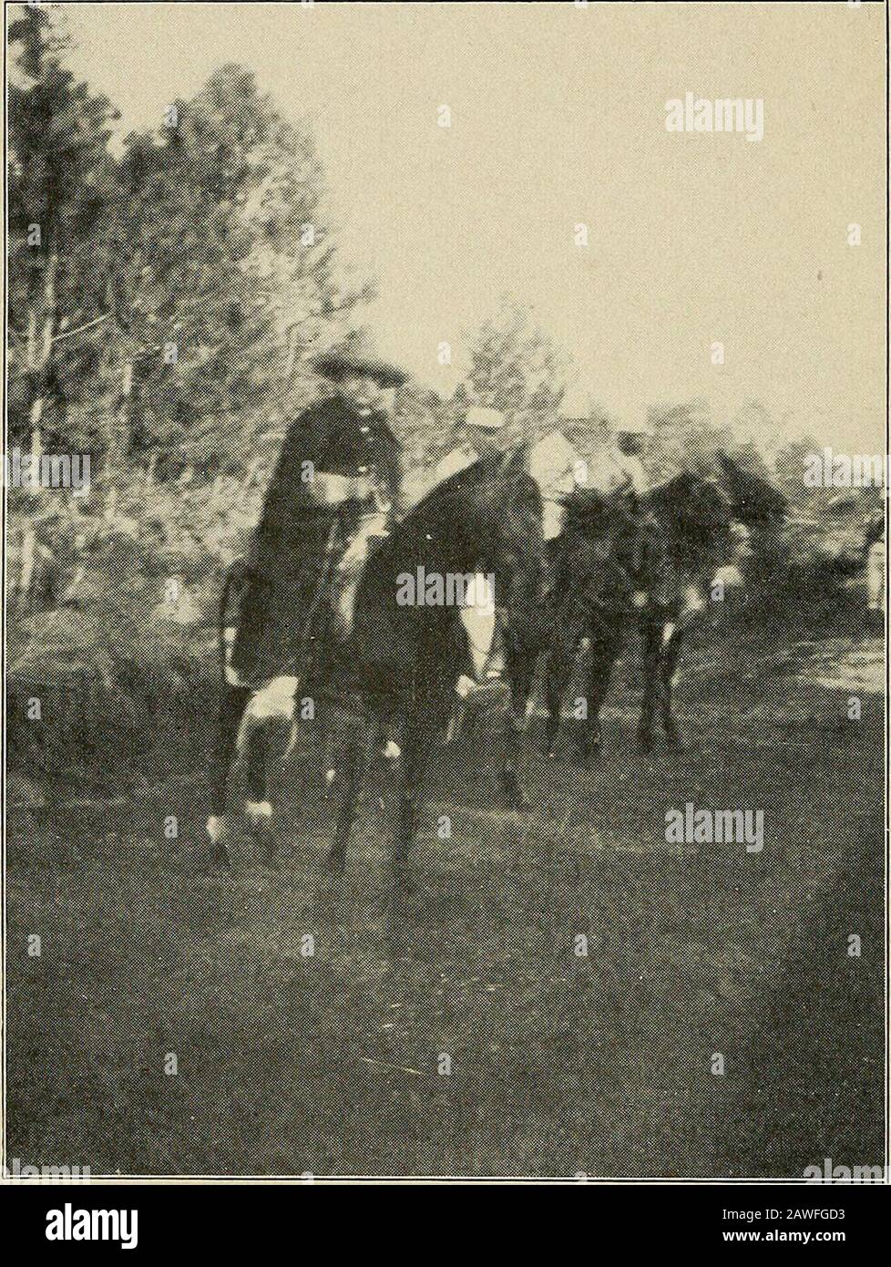 En las tierras altas de México, con una visión de Cuba. N excelente  desayuno de café, huevos, pollo, arroz, tortillas En las tierras altas de  México, de hecho, puedo decir que todas