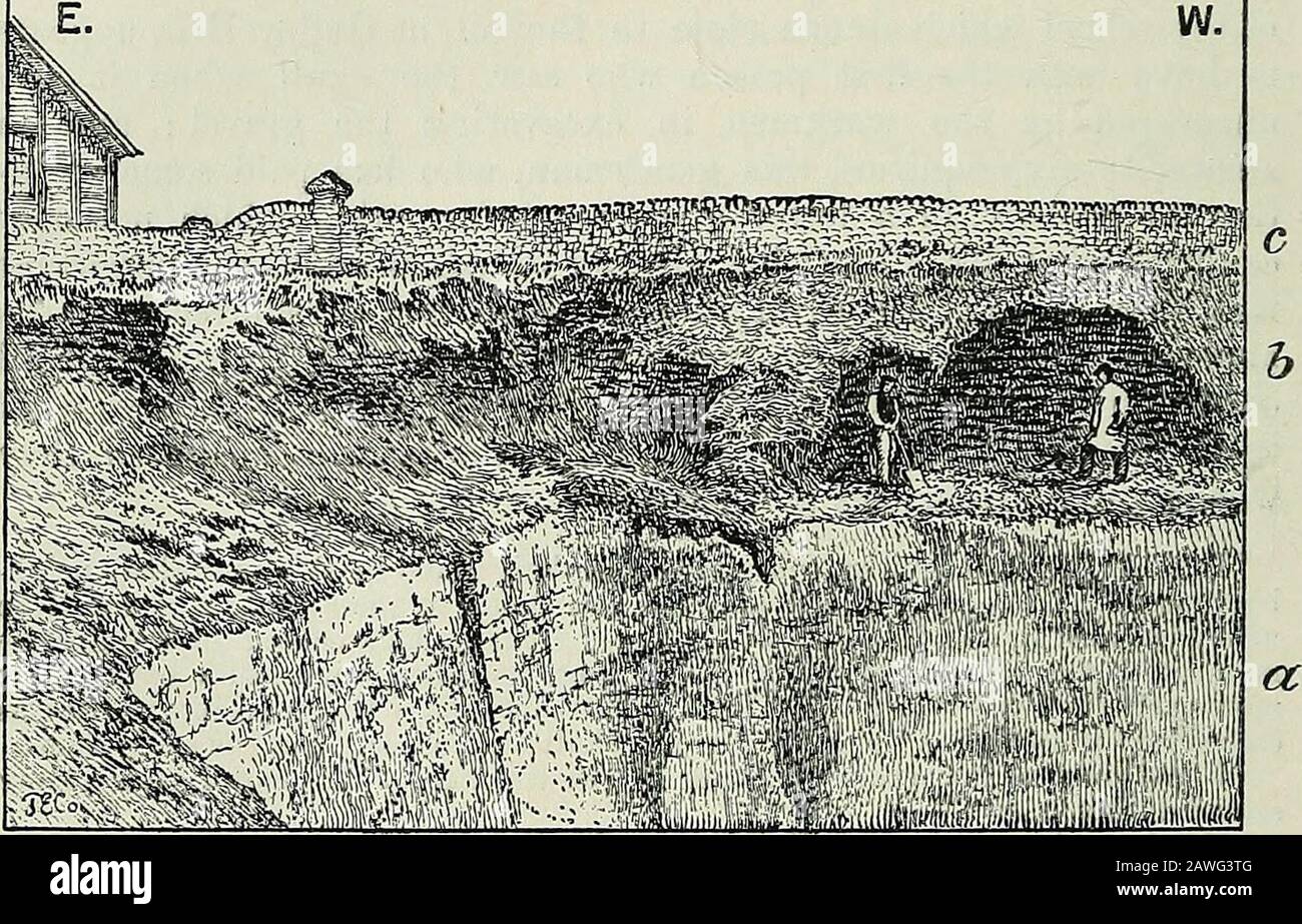 Revista trimestral de la Sociedad Geológica de Londres . adelgazamiento