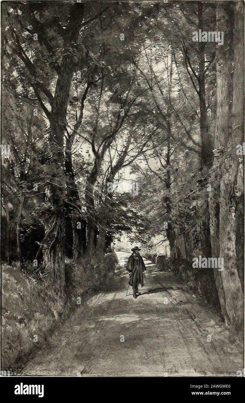 StNicholas [serie] . LA BALIZA ANTIGUA. Maidens Croft, a través de la cual corre el camino desde