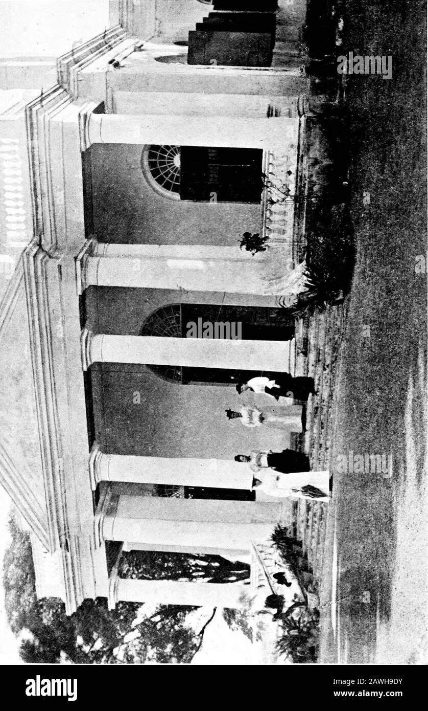 bolsagage weight limit