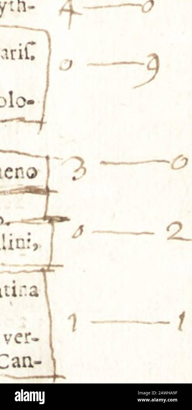 Bibliotheca Heinsiana Sive Catalogus Librorum Quos Magno Studio Sumptu Dum Viveret Collegit Vir Illustrator Nicolaus Heinsius Danfil In Duas Partes Divisis Z0 2