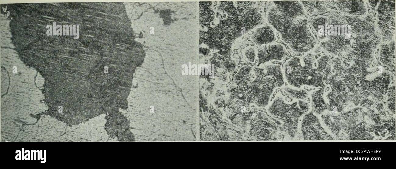 Fosfuro de hierro fotografías e imágenes de alta resolución - Alamy