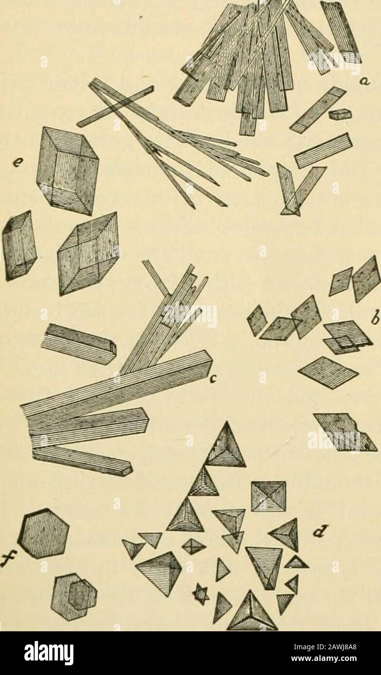 Un libro de texto de fisiología para estudiantes de medicina y médicos . Para eliminar rápidamente los especímenes que se olvidan bajo el Mi-croscope, uno de los métodos más seguros es eliminar Un libro de texto de fisiología para estudiantes de medicina y médicos . Para eliminar rápidamente los especímenes que se olvidan bajo el Mi-croscope, uno de los métodos más seguros es eliminar