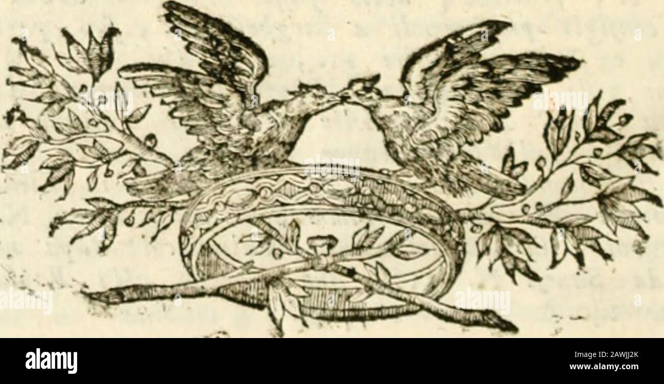 Memorie storico-critiche della città di Siena, che servono alla vita civicivile di Pandolfo Petrucci . ari 5. , avvift t Sunefì dover fajptre col Rè di Fraijfia p-igtouiere fer glt Stati ìoro 182. , fuo arrivo en Siena 253. J fua fpedizione a Sitn.x fer fer/Ua- .dercl accordo cil Conte di litigliano 258. ..7fo Collina frejp) Ster : abitata dagli antichi Tofcavi N. 207. Vignane Bagno , fue actftie minerali , e lori effictcit N. 23. Virginio Conte dell Anguillara Generale delle truffe Pou-tijìcie per / tmprefu dt Siena 204. , fcbermto con canz,onida fanciulli N. 220. , non crede , che i Sanejt avejj Foto de stock