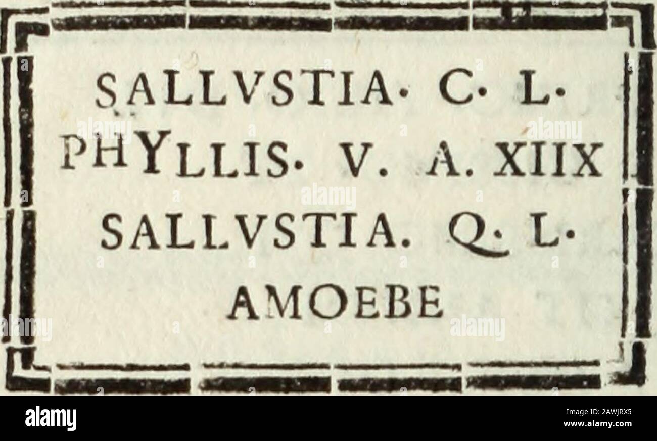 Indicazione Antiqvaria Per La Villa Svbvrbana Dell Eccellencissima Casa Albani Primo Filio Dvlcissimo Etrarissimo Qviviviixit Annvmet Mens Dvodies Xviiii Cohtvberniv5 Et Kalliope Y Parentes P Antanisittibi Terra Levis N Lviii R N