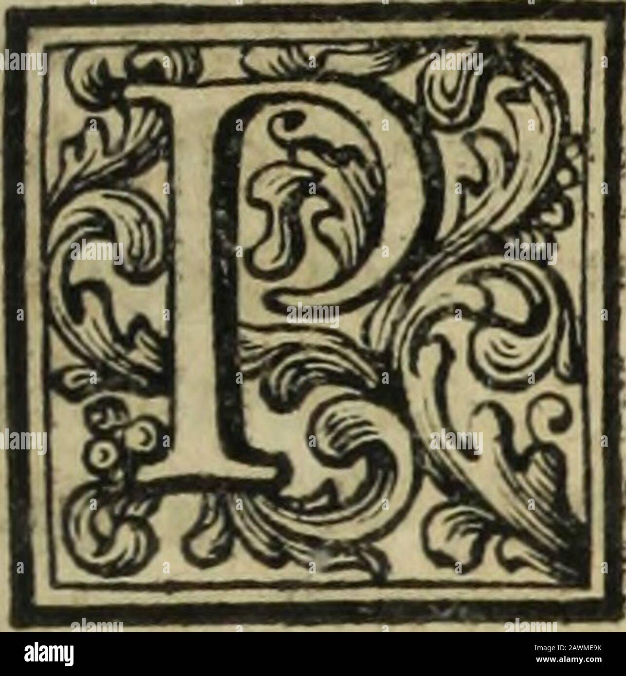 bolsagage weight limit