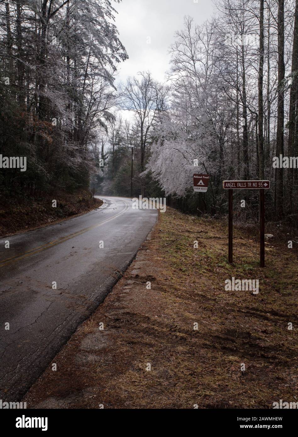 Tormenta De Hielo - Condado De Rabun, Georgia. Los árboles cubiertos de hielo a lo largo de Lake Rabun Road en el Angel Falls Trail se dirigen por la mañana después de una gran tormenta de hielo. El Ange Foto de stock