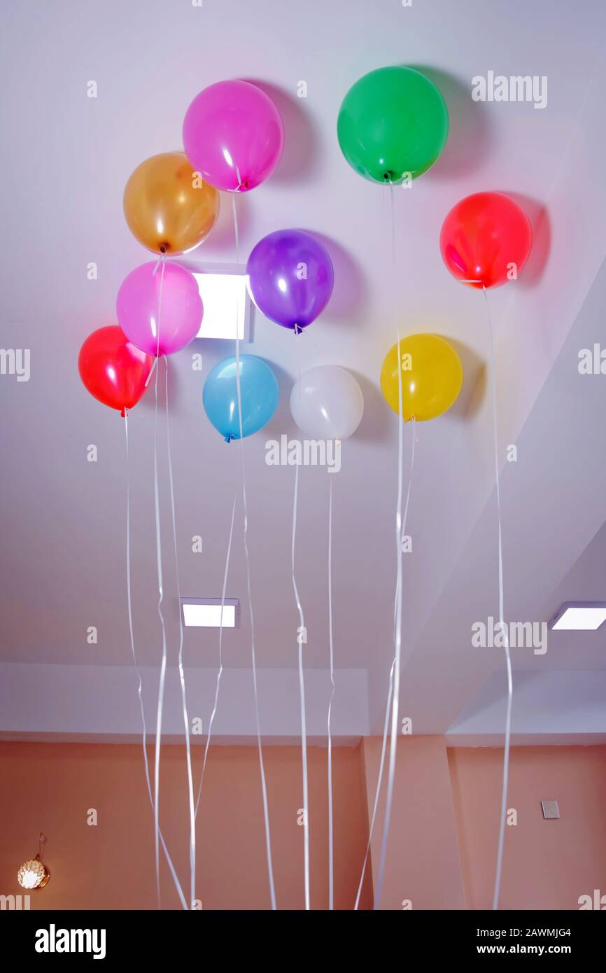 Los globos en color y rojo flotan en el techo blanco de la habitación para  la fiesta. Boda o niños cumpleaños fiesta decoración interior . Helio  Fotografía de stock - Alamy