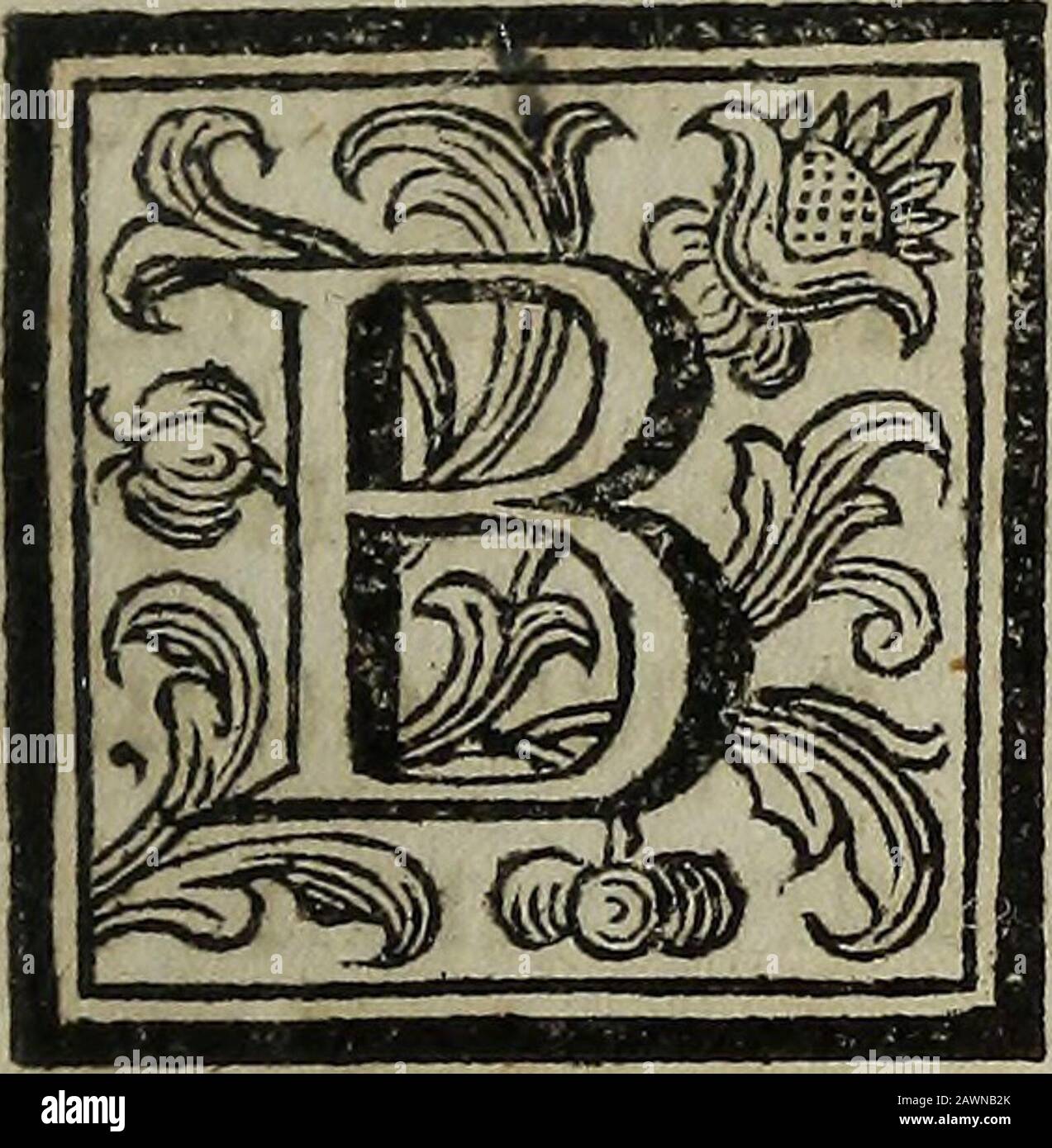 Mirza-Nadir : osia, Memorie del marchese di Sandè, governatore della provincia di Candahar al servigio di Thamas Kouli-Kan, re di Persia . Memorie DEL MARCHESE DI SANDE Parte Quinta. Enchev maritata mia Ma-dre , cominciò Sebaftide, nonavea tralafciato il naturalecofume dattendere alla ga-lanteria y e quindi la cafafua divenne ben tofto il ri-dotto della più illuftre gioventù del Paefe,ad onta dello fpofo , il quale affechaper a invatista! Ma impru*dente eh io fono ? Qui Sebaftide sinter-ruppe/ Ho intrafo un racconto , chenon conviene allefler di figlia, trattandolidi apagado Foto de stock