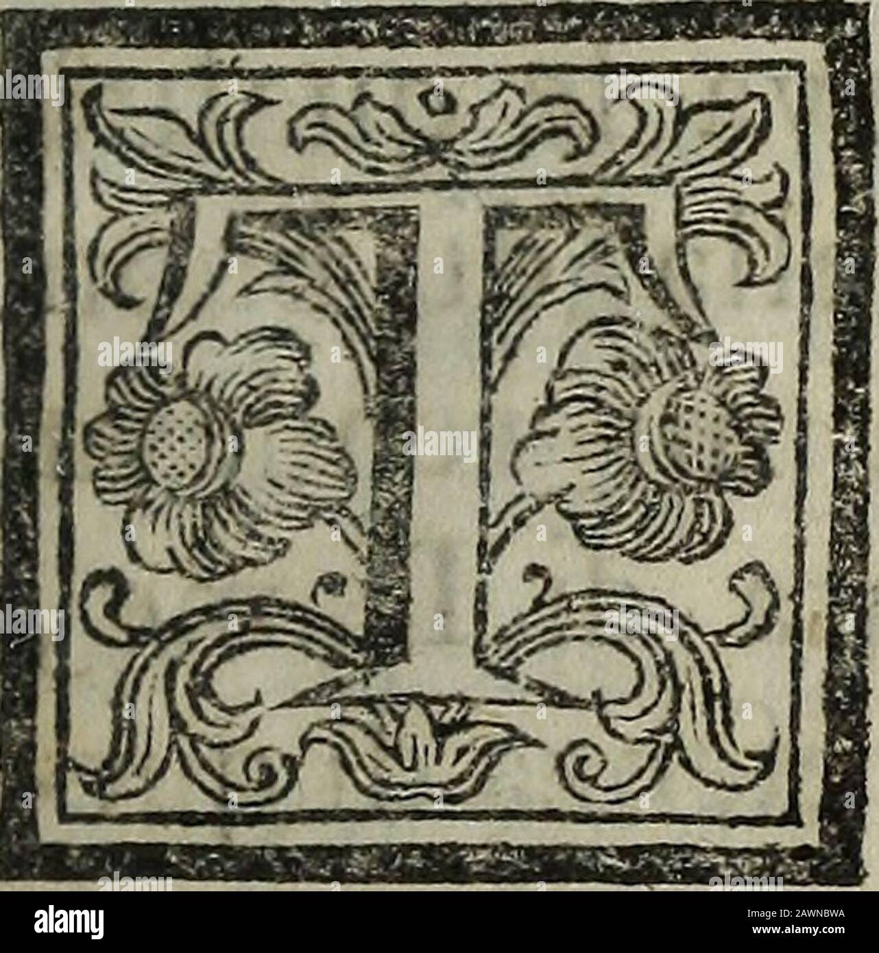 Mirza-Nadir : osia, Memorie del marchese di Sandè, governatore della provincia di Candahar al servigio di Thamas Kouli-Kan, re di Persia . Memorie- DEL MARCHESE DI SANDE Parte Pr ima. IRalasciando quelle affet-tate introduzioni y con cui o-dinariamente fi cerca d5 ini-*porre a chi legge , io doprincipio alla mia Storia 5colla ferma opinione di., ria-fcire più grato y quantimeno artifiofo .Poitiers Capitale del Pa tu è a trimia , OVE mio Padre fi ritirò doro averconfumato il fiore degli anni lupi ne5 piùriguardevoli impieghi della corte.. Pochigiorni prima dei fuo ritiro avea. Fpofa Foto de stock