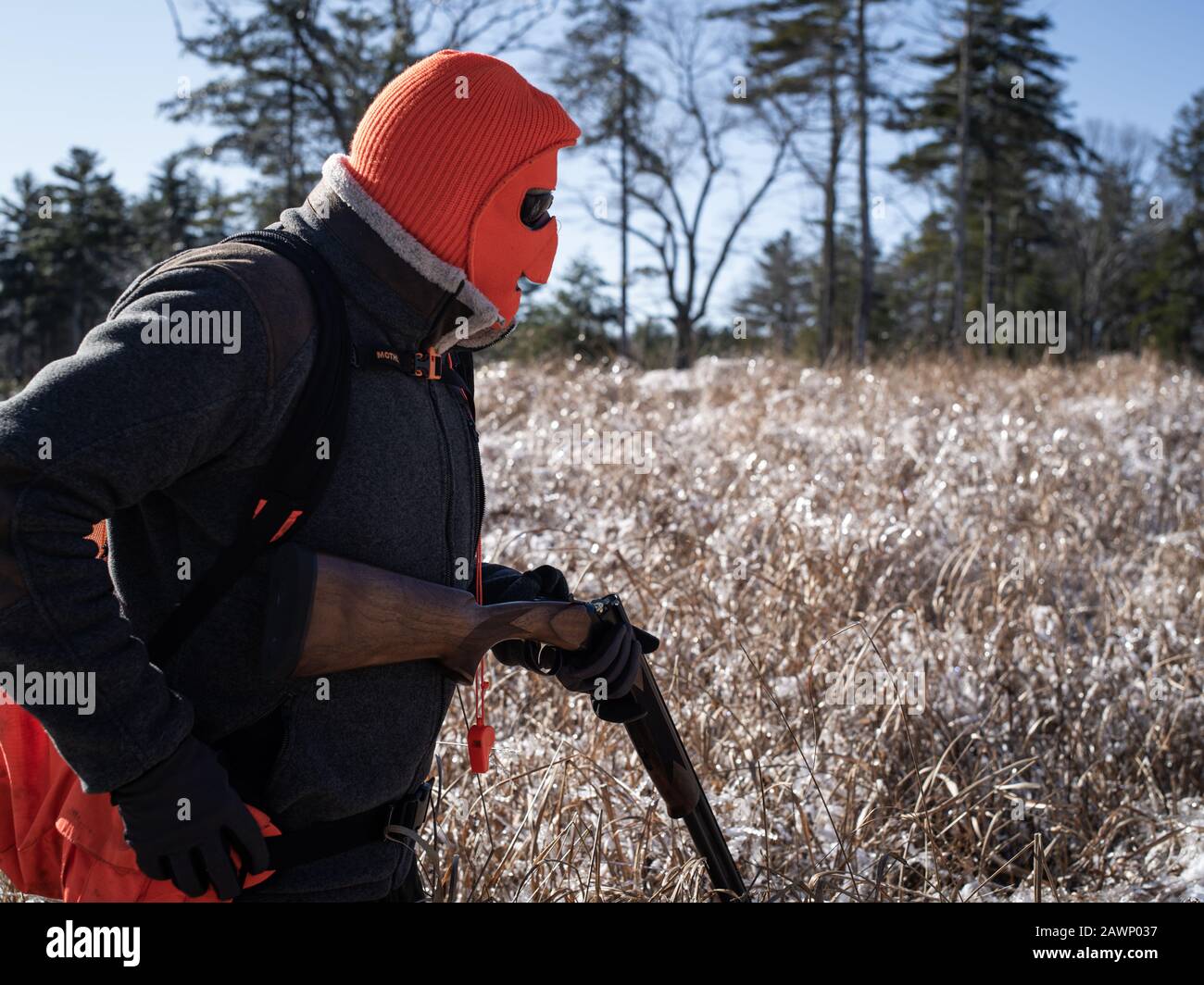 Mapleville Rhode Island, 20 de diciembre de 2019: Un cazador de aves Que Lleva una máscara y Recarga de una escopeta Foto de stock