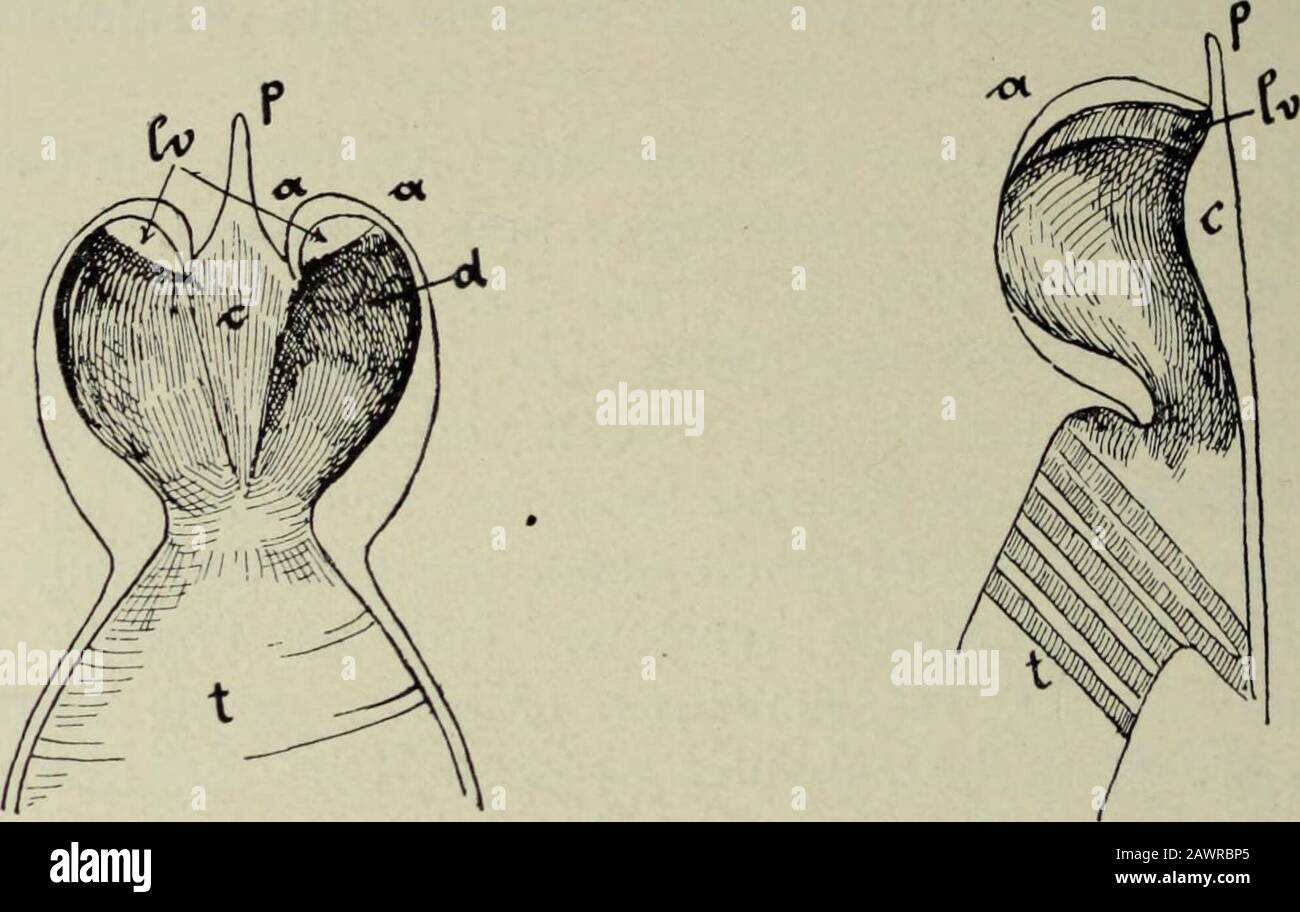 Download Morir erfahrung lehrt uns Desktop Wallpaper Free Morir Erfahrung Lehrt Uns