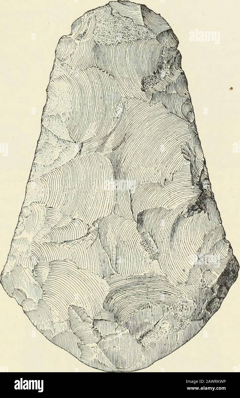 Informe Anual De La Oficina De Etnologia Al Secretario De La Smithsonian Institution Pimens De Otros Tipos Teniendo Debidamente En Cuenta El Hecho De Que La Piedra Gruesa De La Informe Anual De La Oficina De Etnologia Al Secretario De La Smithsonian Institution Pimens De Otros Tipos Teniendo Debidamente En Cuenta El Hecho De Que La Piedra Gruesa De La