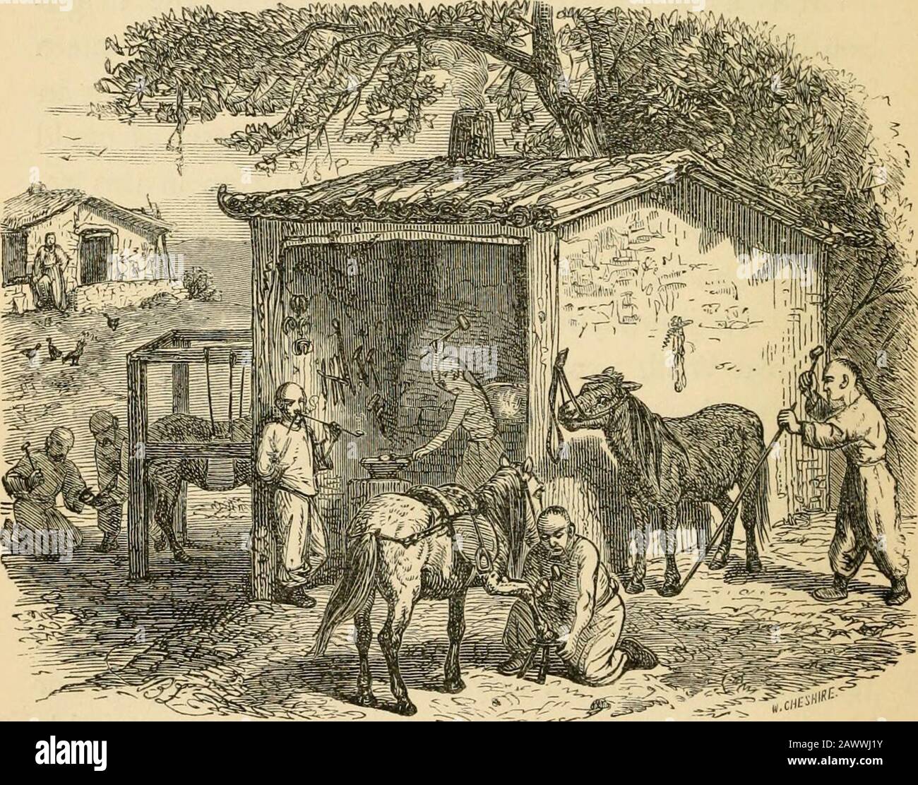 Caballo-zapatos y caballo-calzado : su origen, historia, usos, y abusos . t  atested-fare, o en el rincón más conmovedor del mercado-place.He no es,  generalmente, un hombre muy audaz en su llamado, norhas