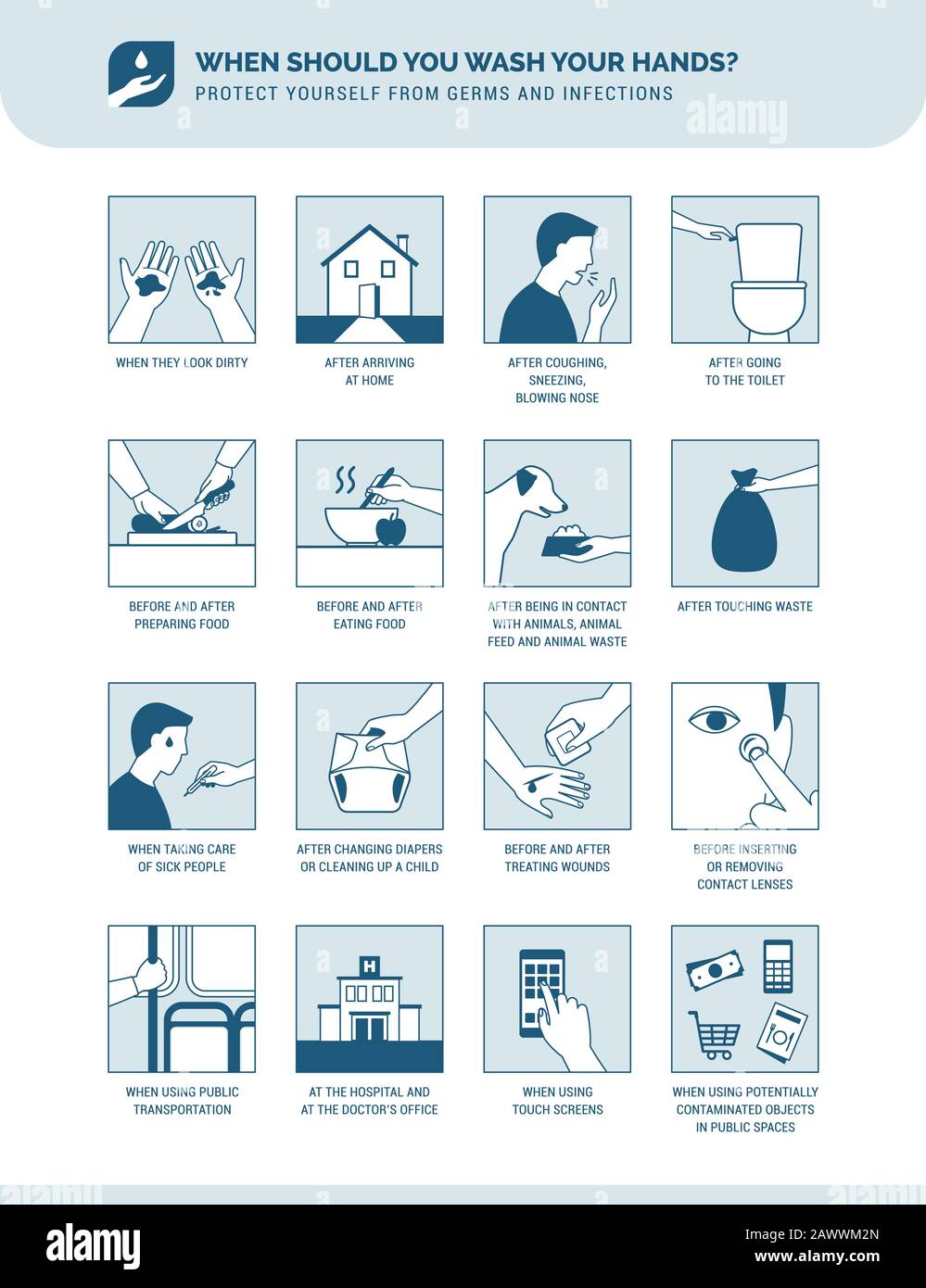 Infografía educativa sobre higiene personal, prevención de enfermedades y atención sanitaria: ¿Cuándo debe lavarse las manos? Ilustración del Vector