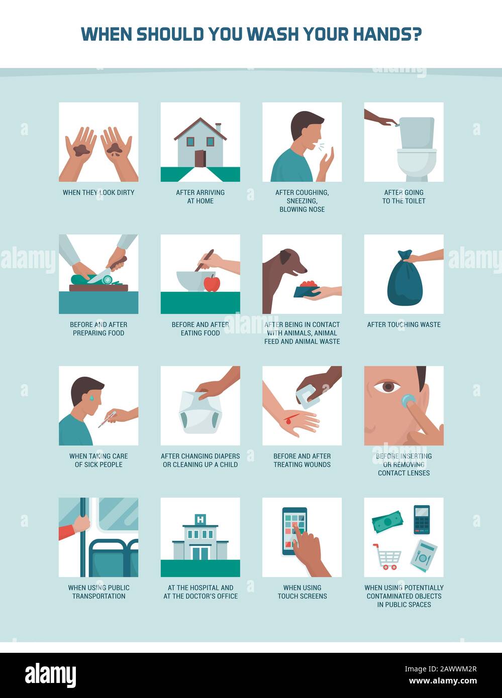 Infografía educativa sobre higiene personal, prevención de enfermedades y atención sanitaria: ¿Cuándo debe lavarse las manos? Ilustración del Vector