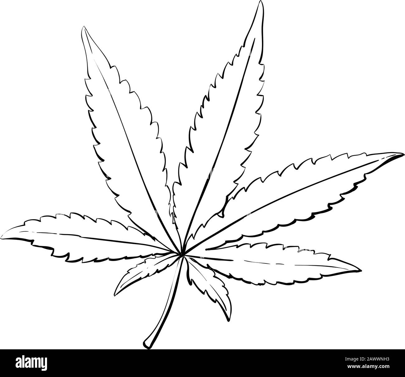 Hoja de cannabis o marihuana. Cosecha. Dibujo realista de la mano.  Ilustración vectorial de estilo de grabado Imagen Vector de stock - Alamy