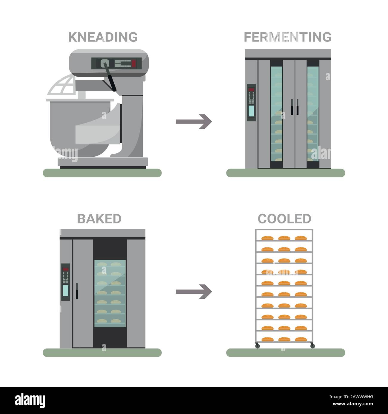 Flujo del proceso de procesamiento de pan. Maquinaria de panadería Imagen  Vector de stock - Alamy