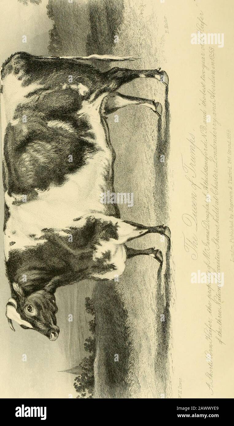 La revista Farmer's . incurable oído. Por F. B. COURTENAY, M.R.C.S.E, Y anteriormente cirujano a la enfermería metropolitana para la curación de Las Estenosis De La Uretra. Este trabajo es la producción de un cirujano cuya atención especial ha sido dirc-ted, a través de una larga vida profesional, al tratamiento de las estenosis de la uretra. Los casos que el señor Courtenay ha triven suplican evidencia de su gran poder discriminativo en el diagnóstico de los diversos tipos de estenosis, y de los thescientifac prmciples sobre los cuales se basa su gerencia, demostrando su éxito y exiilaining thecause o Foto de stock