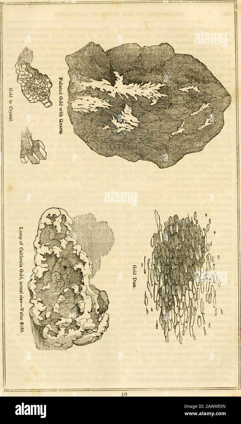 Una descripción pictórica de los Estados Unidos; abarcando la historia, la posición geográfica, los recursos agrícolas y minerales .. . se cortó o se llevó de las venas de la roca, con la que sus corrientes hevecome en contacto. Todos ellos parecen ser igualmente ricos. Esto se demuestra por el hecho de que un hombre trabajador puede collectarcasi tanto en un río como él puede inother. Ellos se cruzan y cortan a través de la región de oro, corriendo desde el este hacia el oeste, a distancias irregulares de quince totwenty, y quizás algunos de ellos a treinta millas de distancia. De ahí que parezca que los veinsare de oro son igualmente ricos en todas las partes de eso Foto de stock