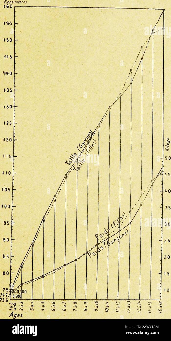 comme des garcons 8 88 12
