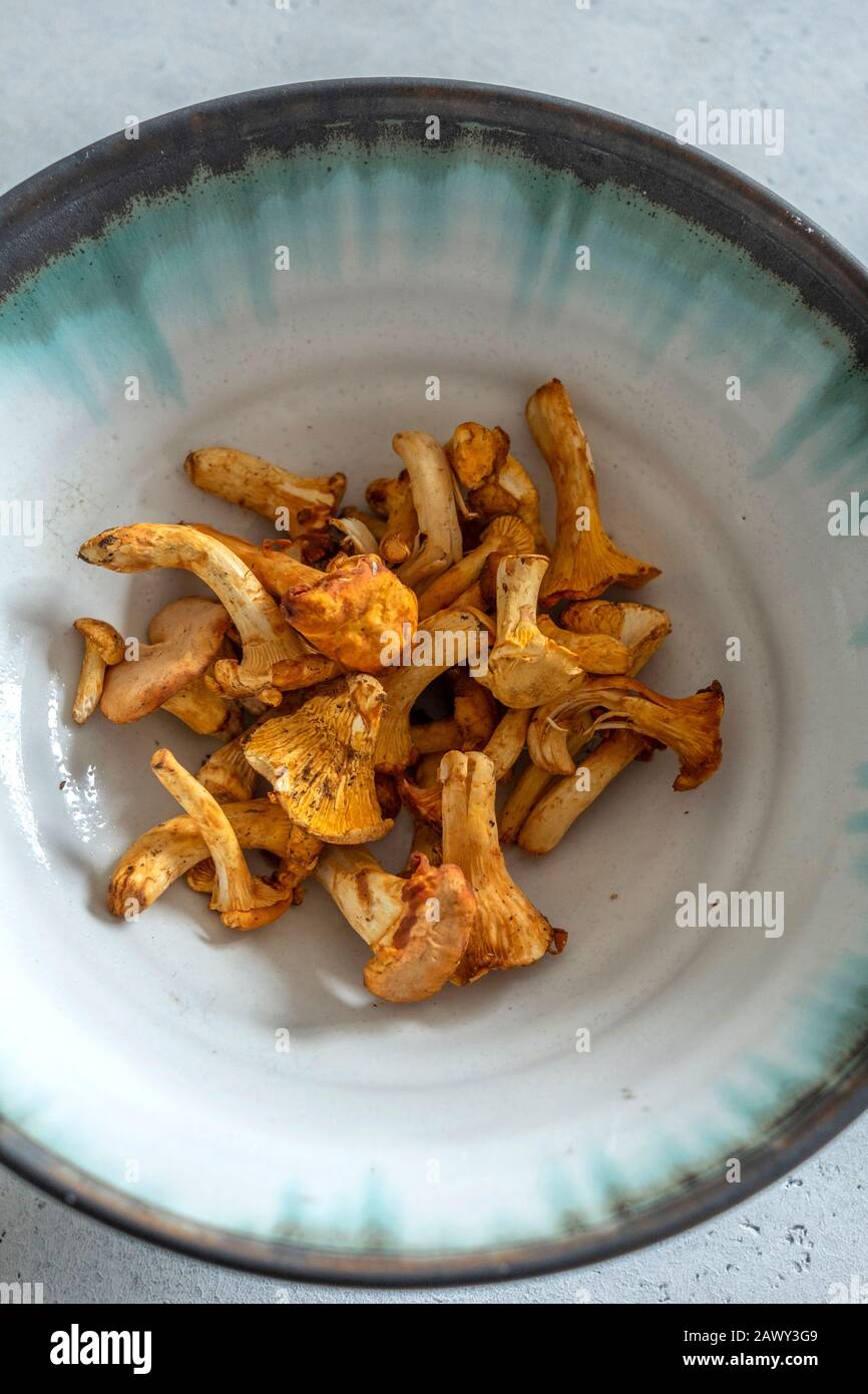 Cantharellus Setas Foto de stock