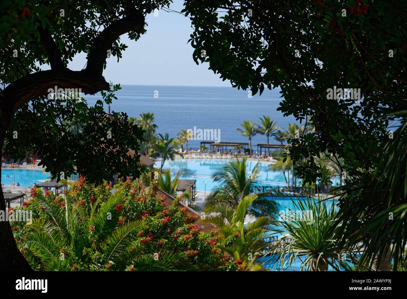 Imagen general del resort de vacaciones. Edificios del complejo, palmeras y piscina. Foto de stock